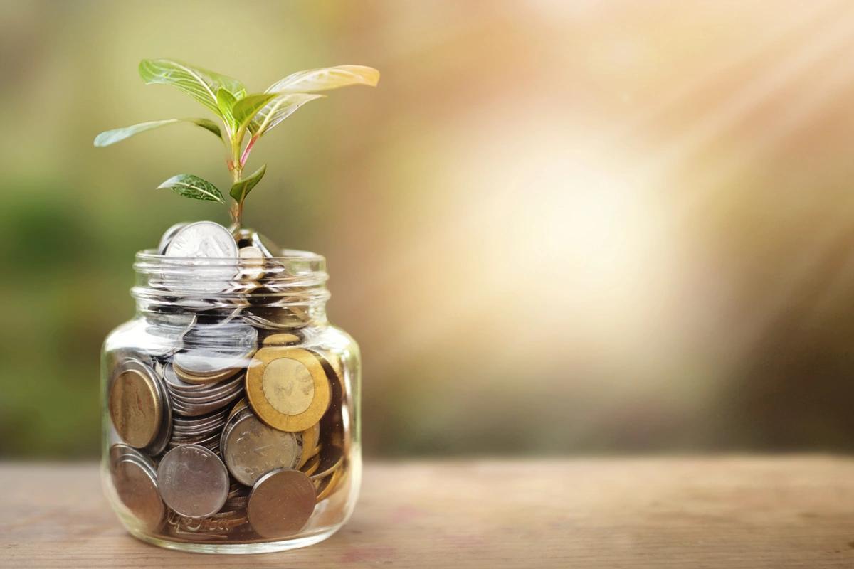 A jar of coins with a plant growing out of it